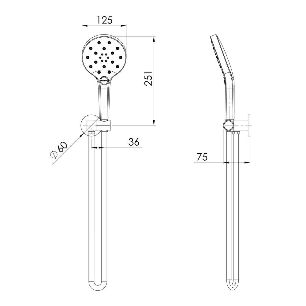 PHOENIX OXLEY HAND SHOWER BRUSHED CARBON