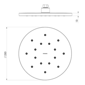 PHOENIX LUXEXP SHOWER ROSE 250MM MATTE BLACK