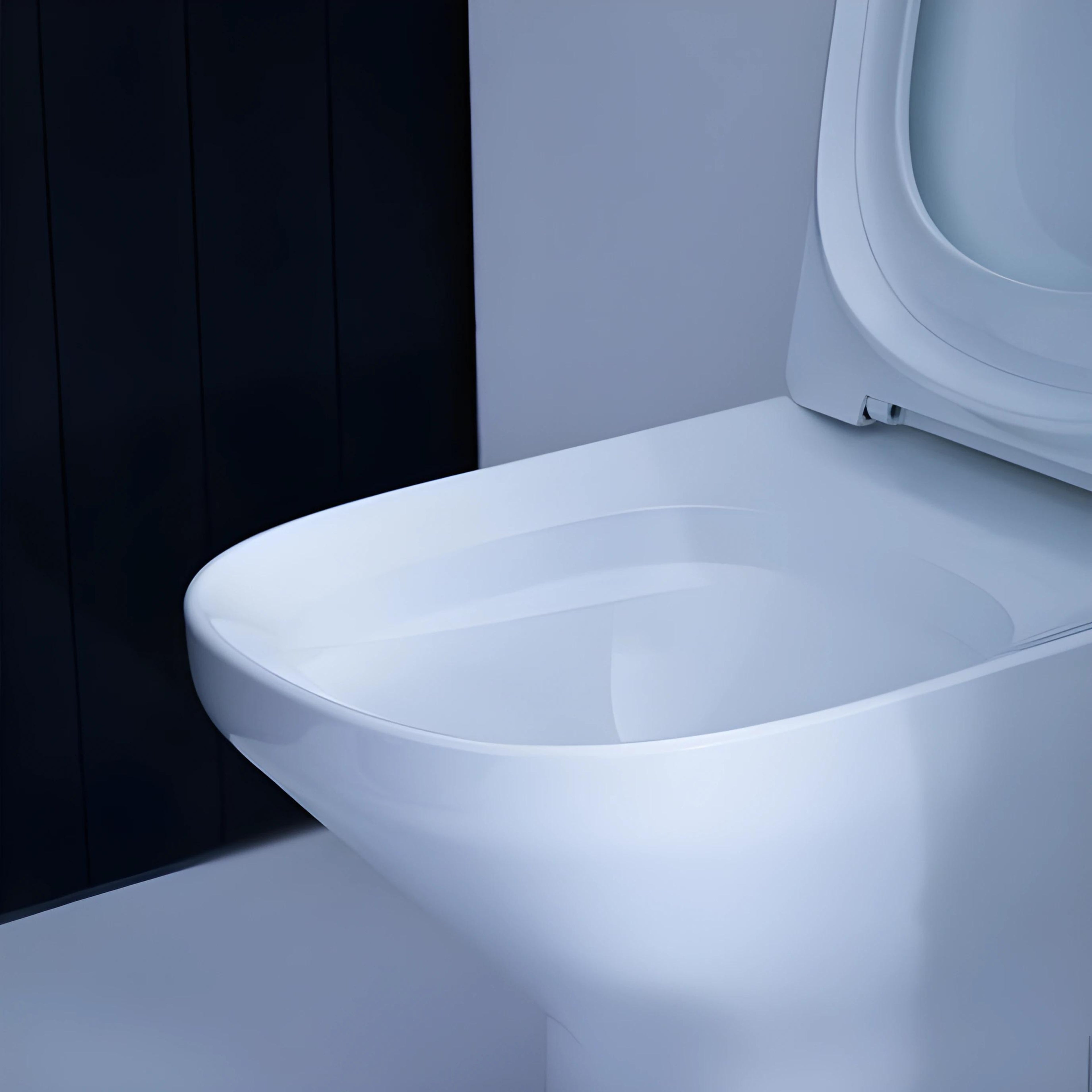 KOHLER MODERNLIFE BACK TO WALL TOILET SUITE WITH ELITE SEAT GLOSS WHITE