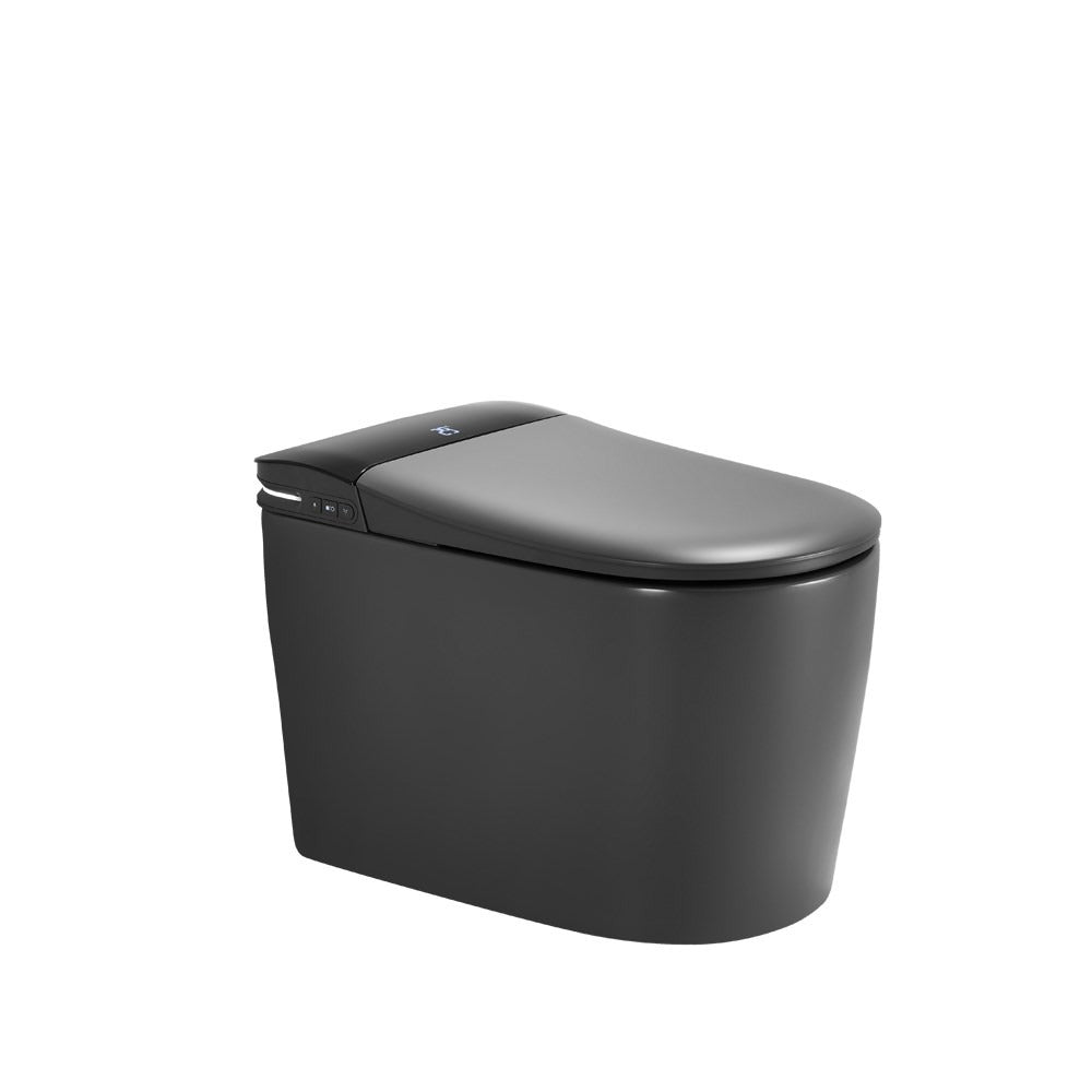 Aquaperla Instant Heating Smart Toilet with Remote Control and Side Control in Matte Grey