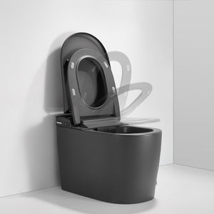 Aquaperla Instant Heating Smart Toilet with Remote Control and Side Control in Matte Grey