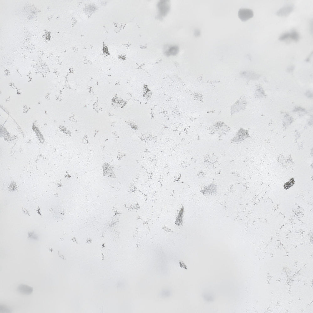 POSEIDON SPECKLE WHITE STONETOP SAMPLE