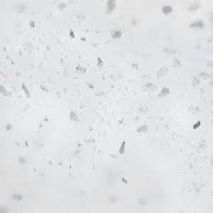 POSEIDON SPECKLE WHITE STONETOP SAMPLE