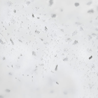 POSEIDON SPECKLE WHITE STONETOP SAMPLE