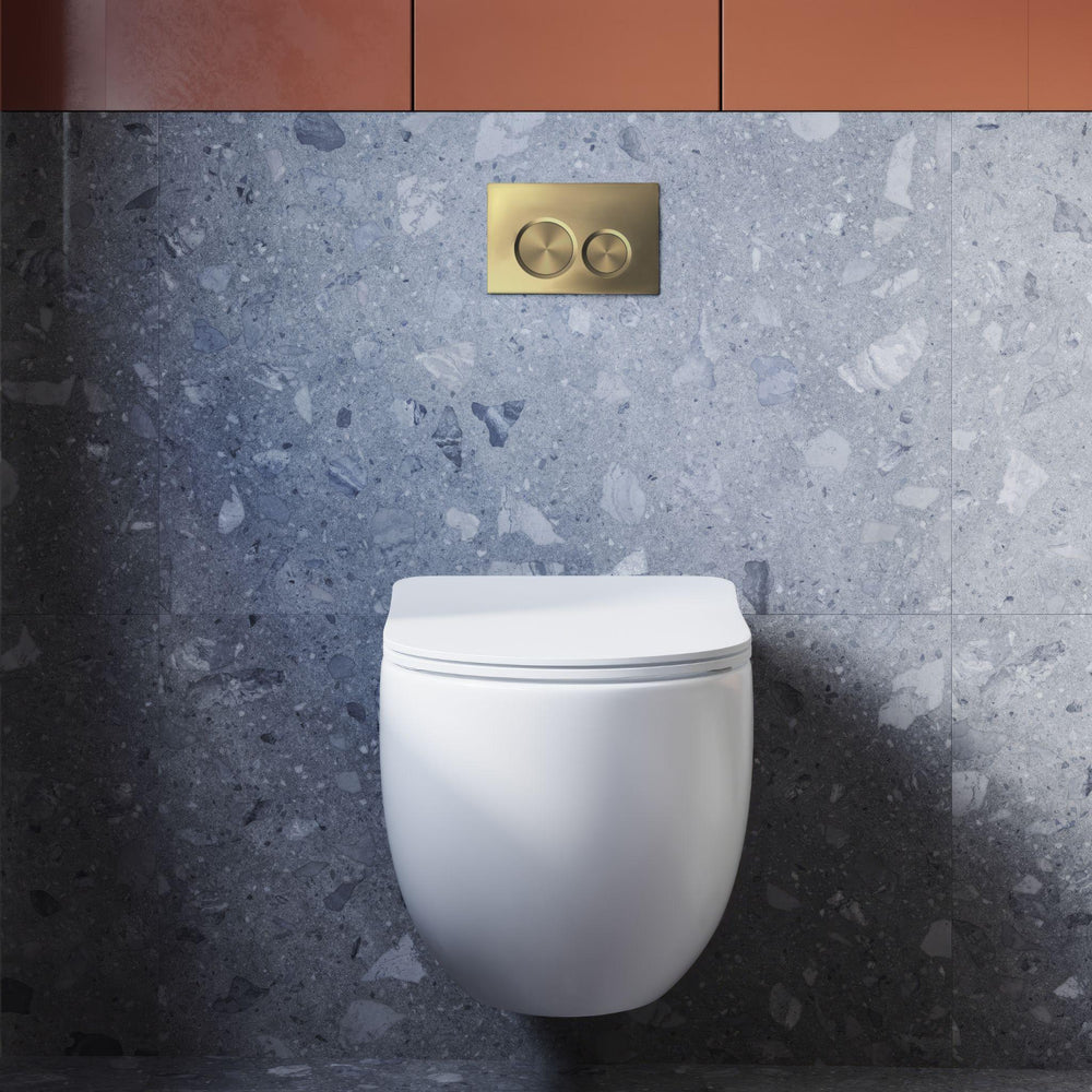 BELBAGNO ABS IN WALL CIRCLE BUTTON FLUSH PLATES 256MM BRUSHED GOLD