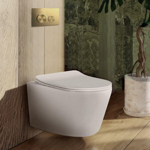 BELBAGNO ABS IN WALL CIRCLE BUTTON FLUSH PLATES 256MM BRUSHED GOLD