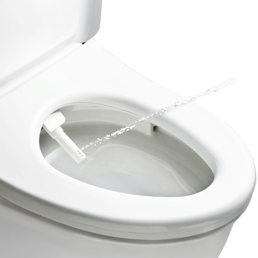 Difference Between Rimless and Box-Rim Toilets