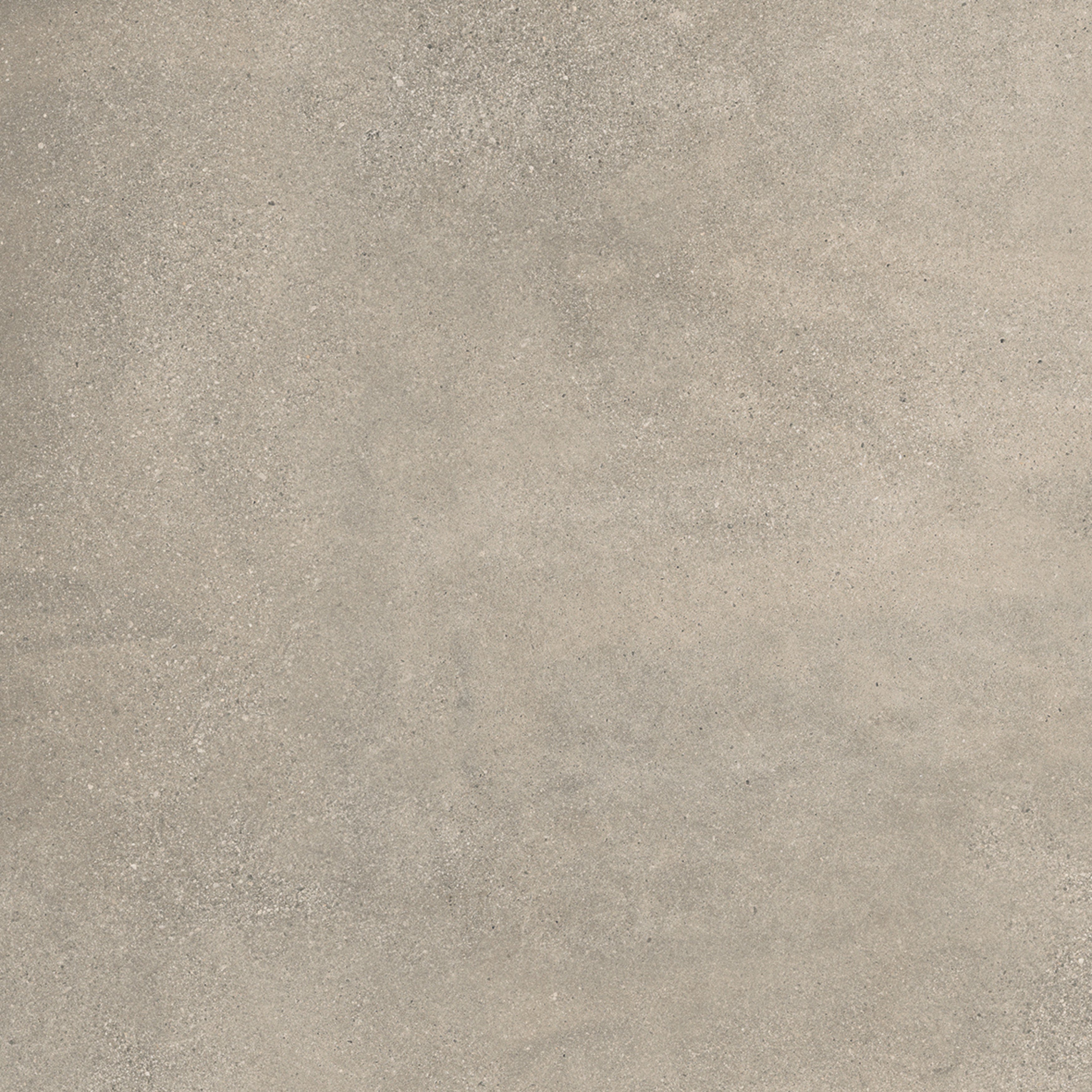 EVERSTONE THEATRO BONE TILE SAMPLE (1PC)