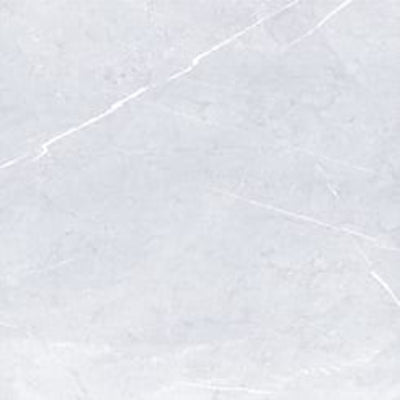 ELITE IMPORTERS BRESCIA WHITE EXTERNAL 500X500MM SQUARE TILE (PER BOX)