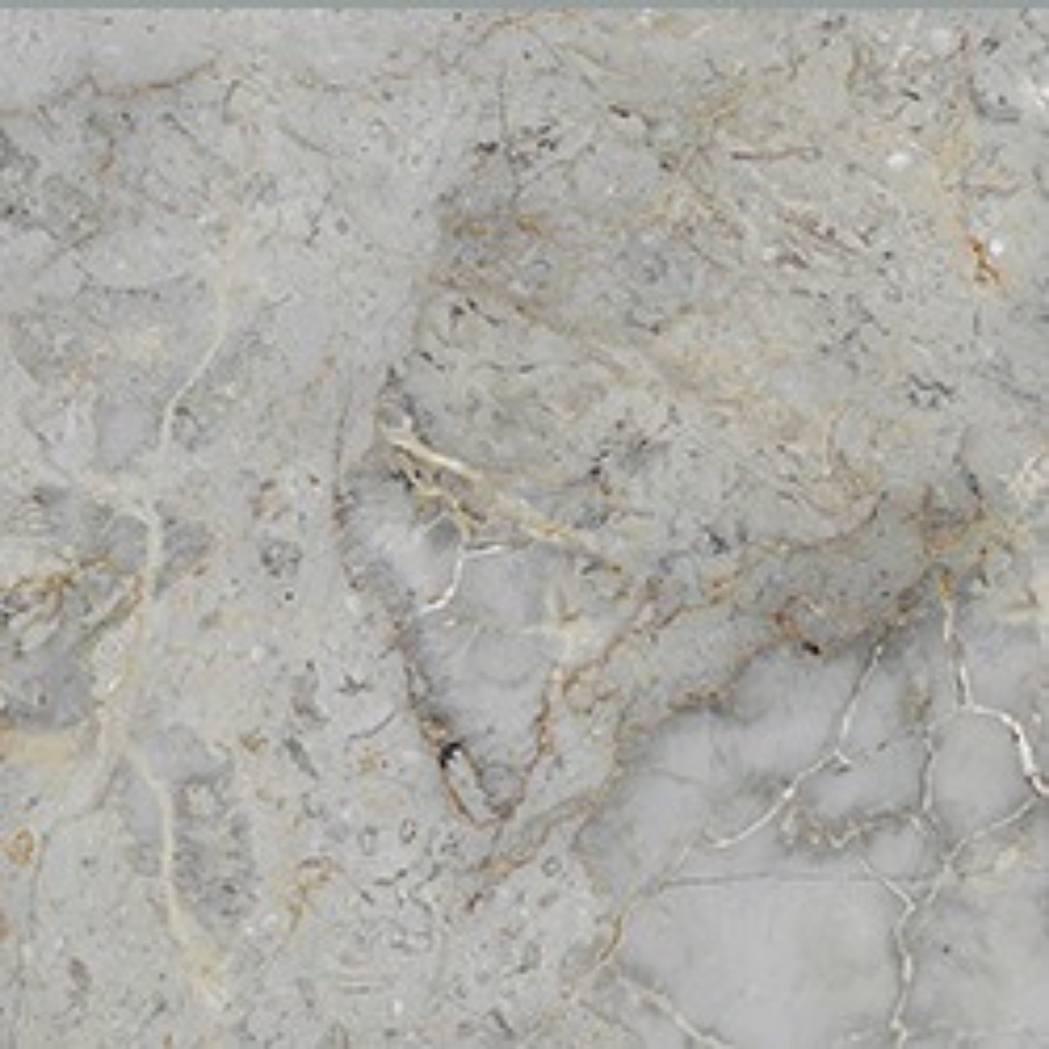 EVERSTONE EUROMARMO BRECCIA GRIGIA HONED 300X300MM SQUARE TILE (PER BOX)
