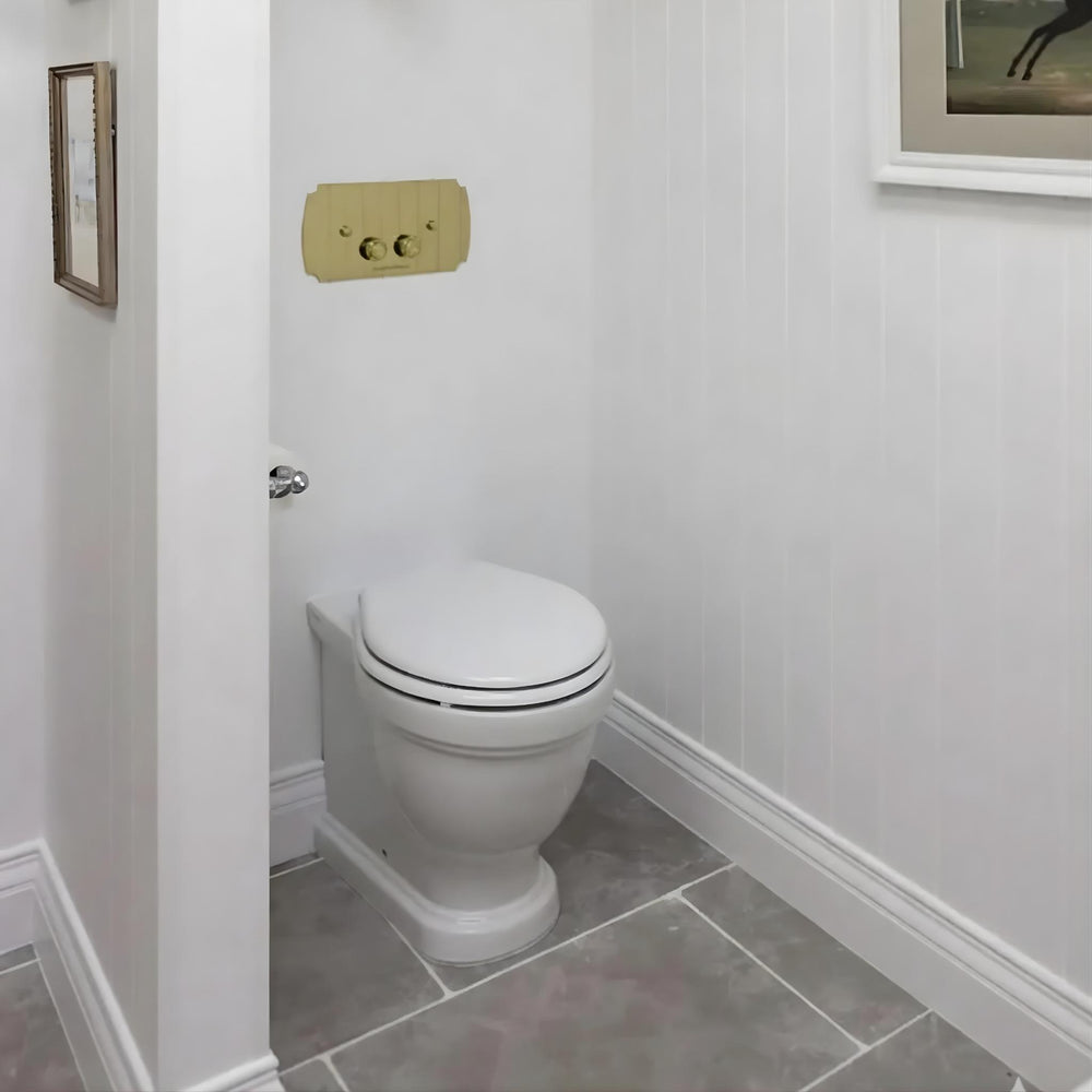 TURNER HASTINGS CLAREMONT RIMLESS FLOOR MOUNTED PAN AND SEAT WITH GEBERIT IN-WALL CISTERN AND TRADITIONAL BRUSHED BRASS FLUSH PLATE PACKAGE GLOSS WHITE