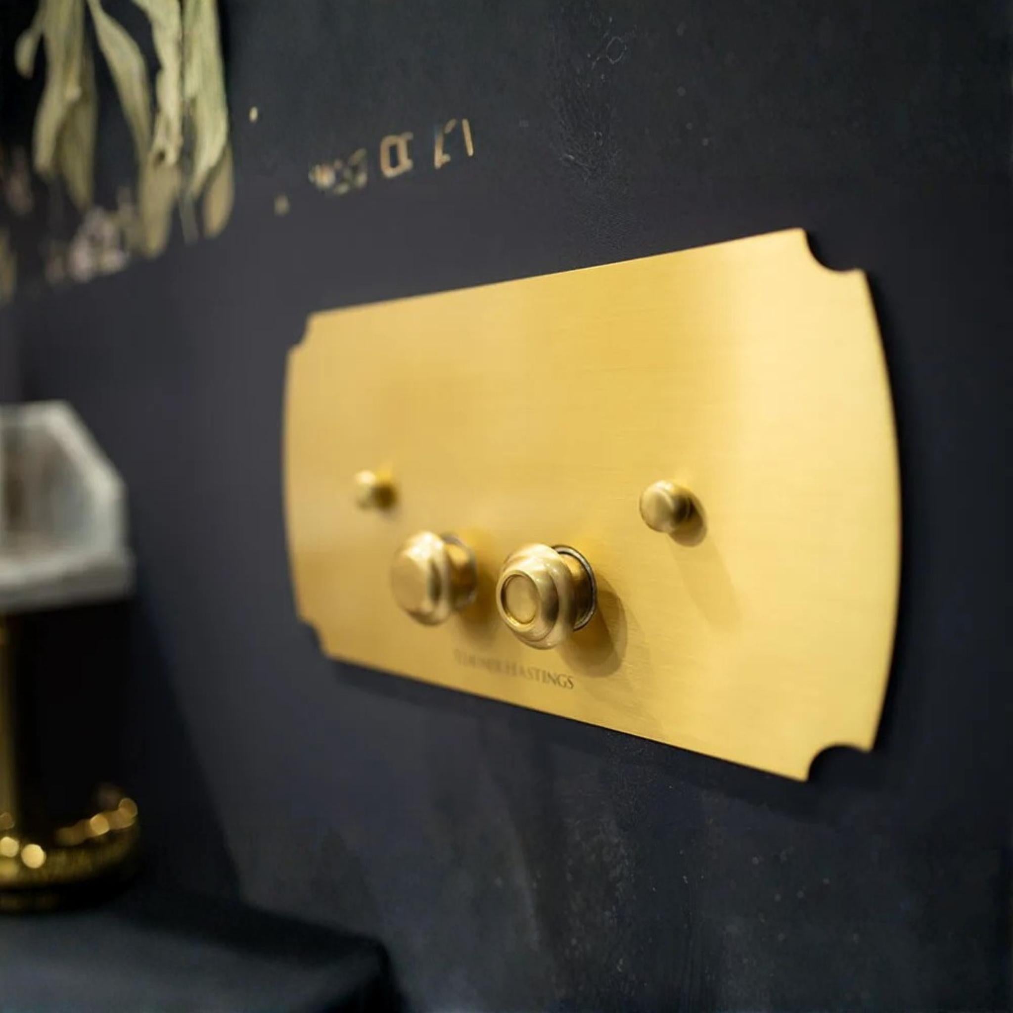 TURNER HASTINGS CLAREMONT MECHANICAL FLUSH PLATE 330MM BRUSHED BRASS