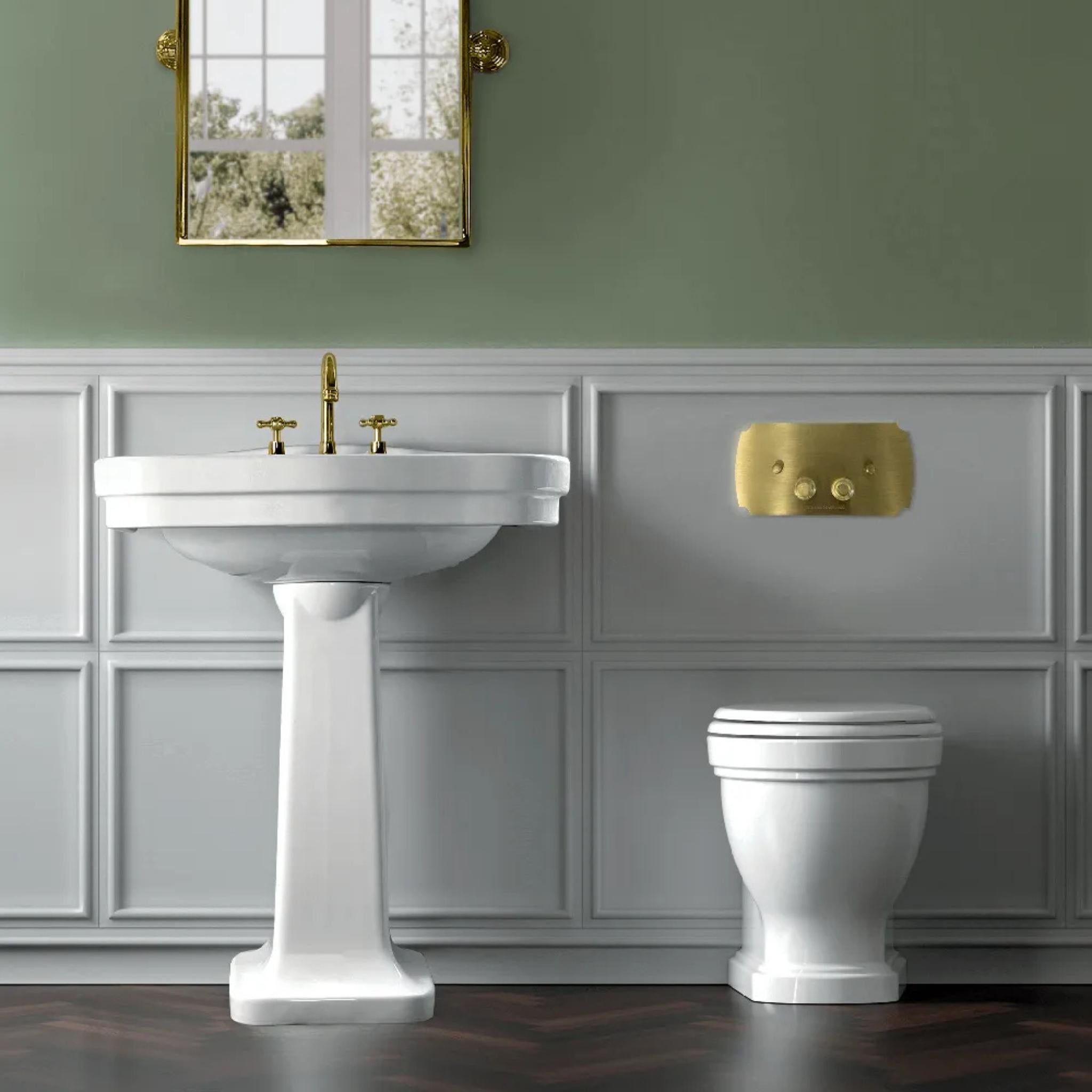 TURNER HASTINGS CLAREMONT MECHANICAL FLUSH PLATE 330MM BRUSHED BRASS