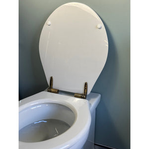TURNER HASTINGS CLAREMONT WALL FACED PAN GLOSS WHITE