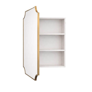 TURNER HASTINGS CLAREMONT BRUSHED BRASS MIRROR SHAVING CABINET 500X800MM