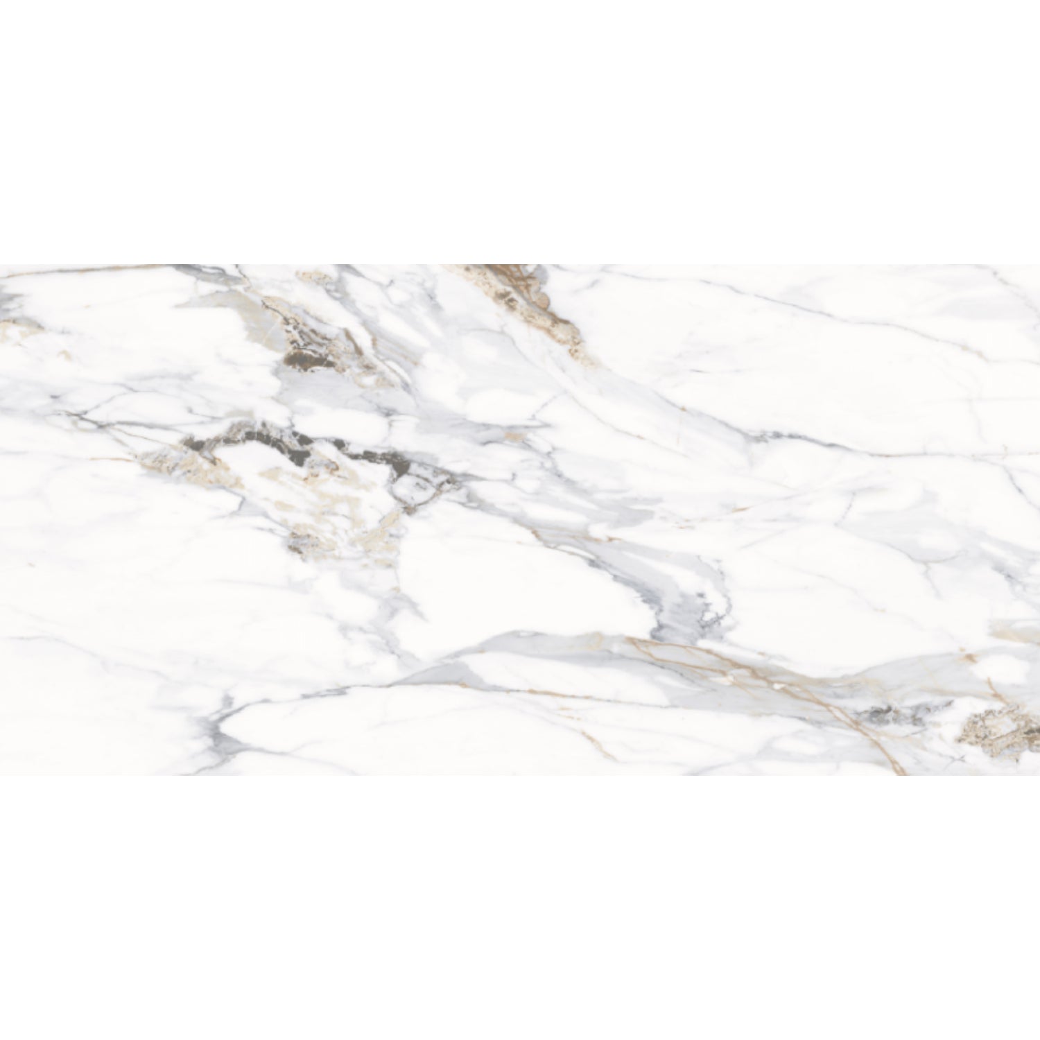 ELITE CALACUTTA ORO POLISHED TILE SAMPLE (1PC)