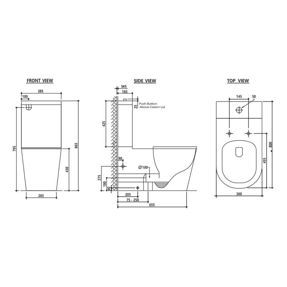 ZUMI CARA CARE RIMLESS BACK TO WALL TOILET SUITE GLOSS WHITE