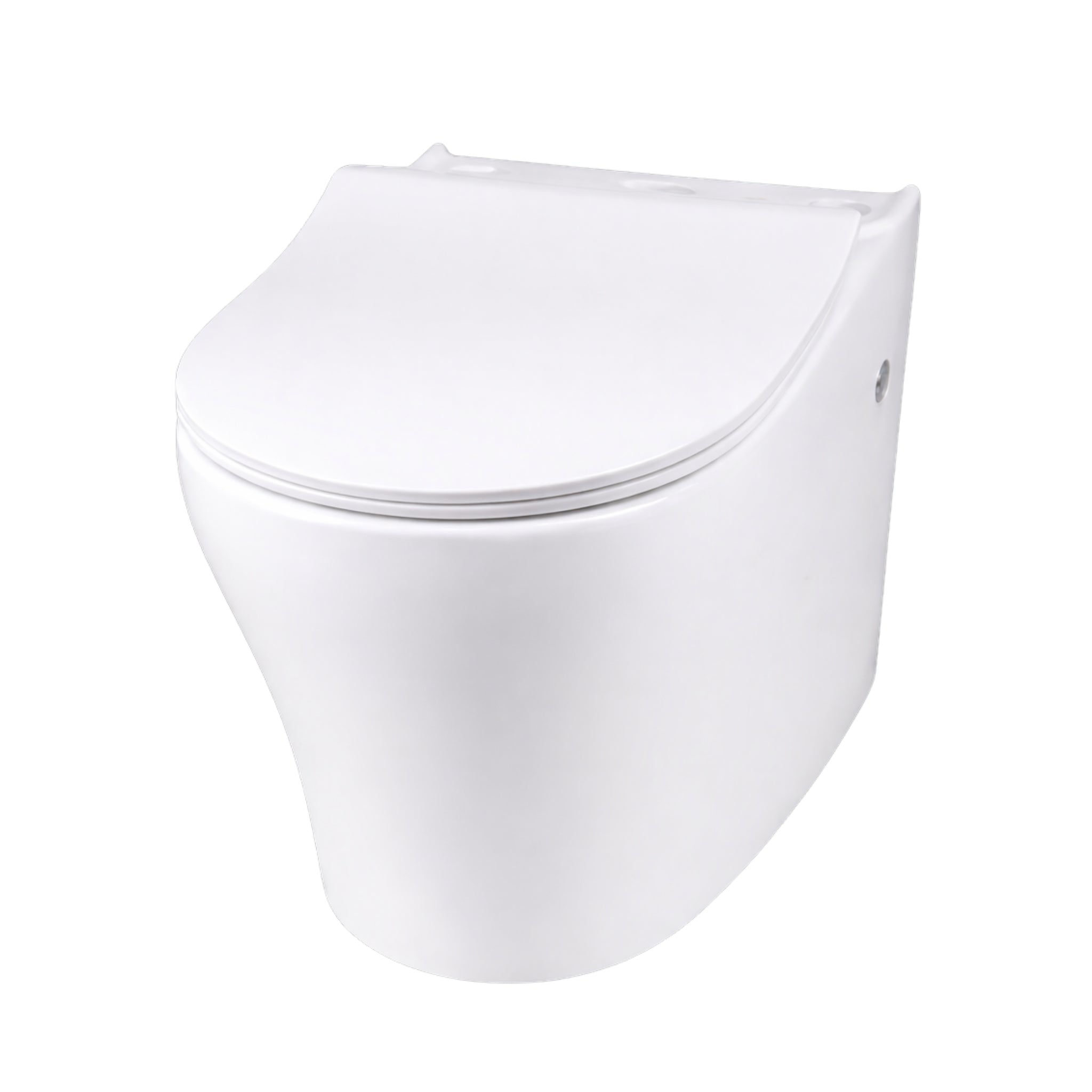 INSPIRE ZENITTI BACK-TO-WALL TOILET SUITE AND SPA SMART BIDET SEAT WITH REMOTE CONTROL D-SHAPE GLOSS WHITE