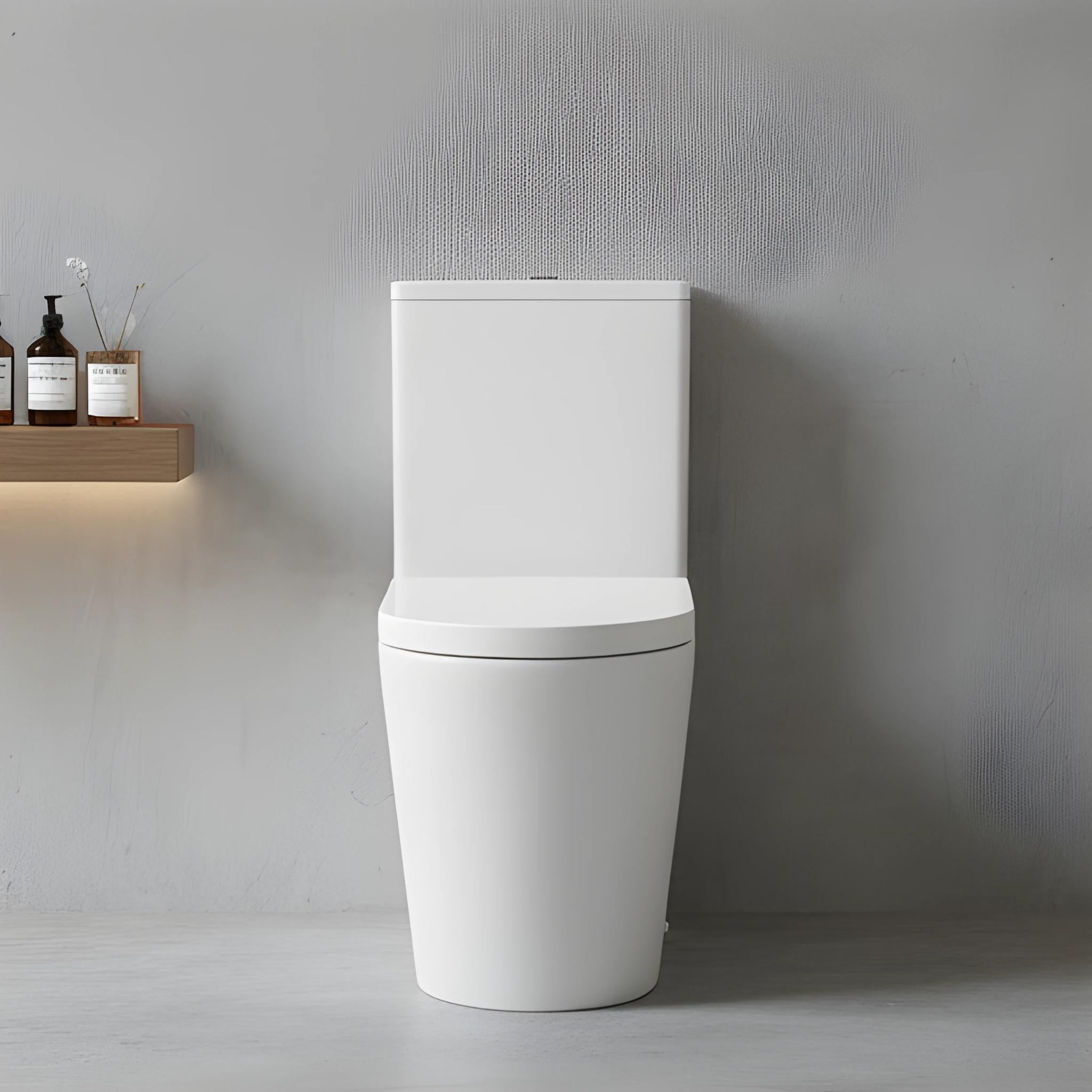 TURNER HASTINGS FINO RIMLESS WHISPERFLUSH BACK TO WALL TOILET SUITE WITH THICK SEAT MATTE WHITE