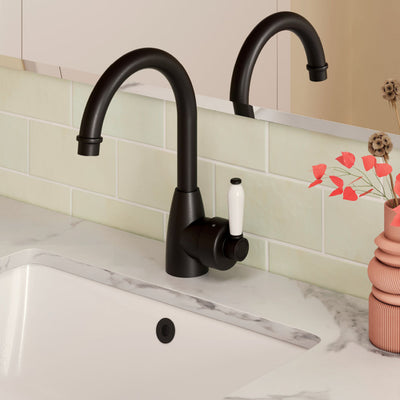 FIENZA ELEANOR GOOSENECK BASIN MIXER 264MM CERAMIC HANDLE MATTE BLACK
