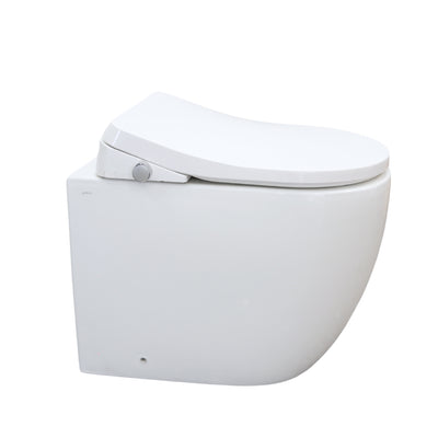 GALLARIA DANZAPULSE+ RIMLESS WALL FACE PAN AND BIDET PACKAGE GLOSS WHITE