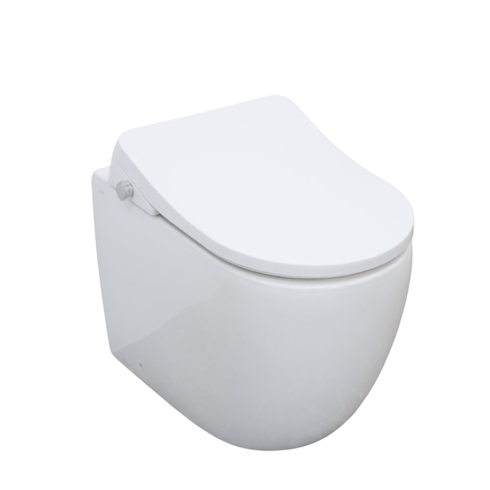 GALLARIA DANZAPULSE+ RIMLESS WALL FACE PAN AND BIDET PACKAGE GLOSS WHITE