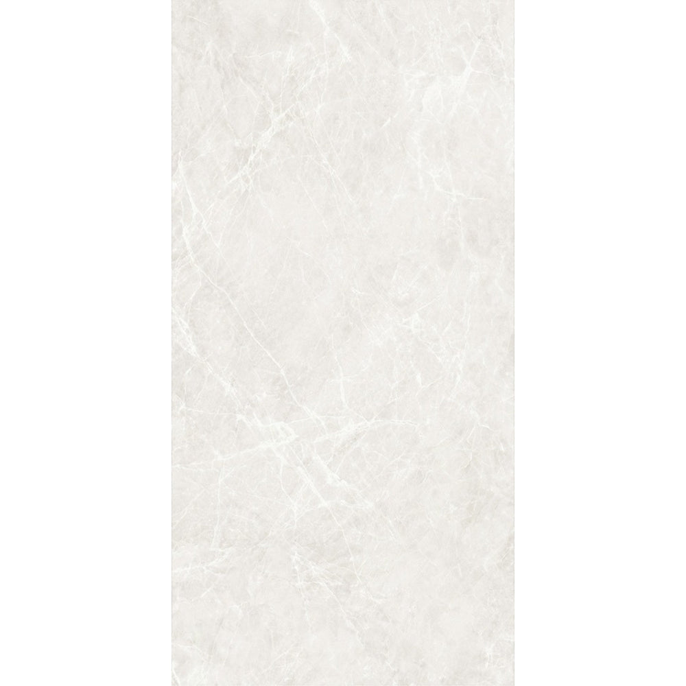 EVERSTONE ALPHINE GLACIER MATTE 1200X600MM RECTANGULAR TILE (PER BOX)