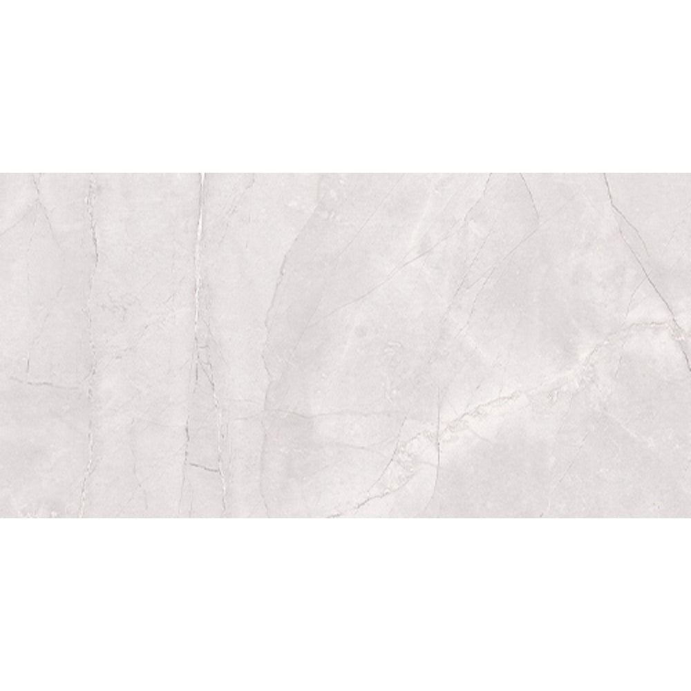 EVERSTONE EUROMARMO ICE GREY POLISHED 600X300MM RECTANGLE TILE (PER BOX)