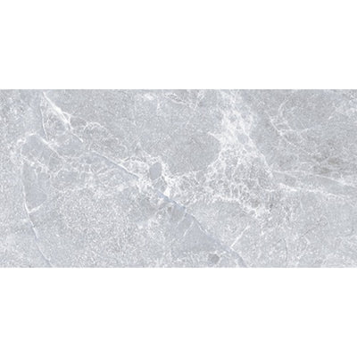 EVERSTONE AGATHOS GREY MATTE 600X300MM RECTANGULAR TILE (PER BOX)