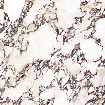 EVERSTONE WONDERLAND CALACATTA VIOLA NATURAL 1200X1200MM SQUARE TILE (PER BOX)