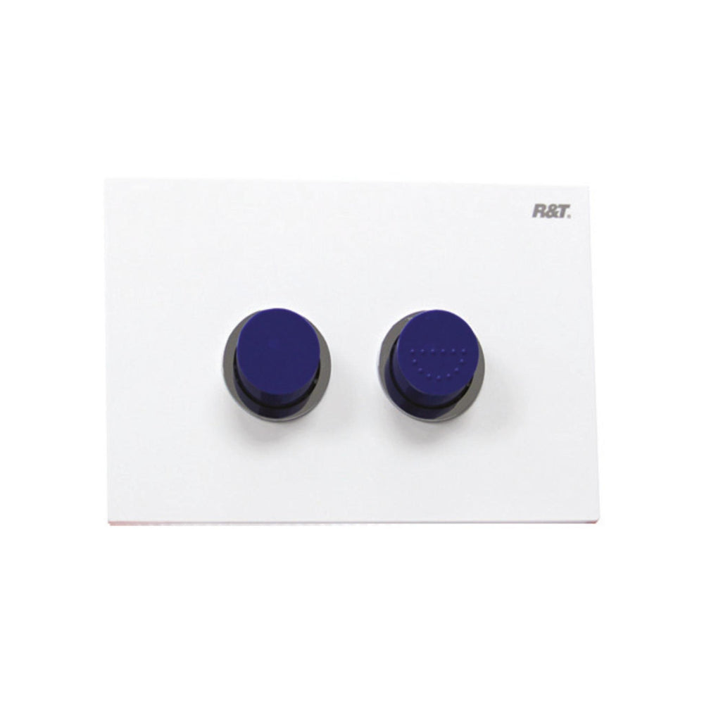 JOHNSON SUISSE IN-WALL ECONOFLUSH AIR PNEUMATIC RAISED FLUSH BUTTON 245MM BLUE