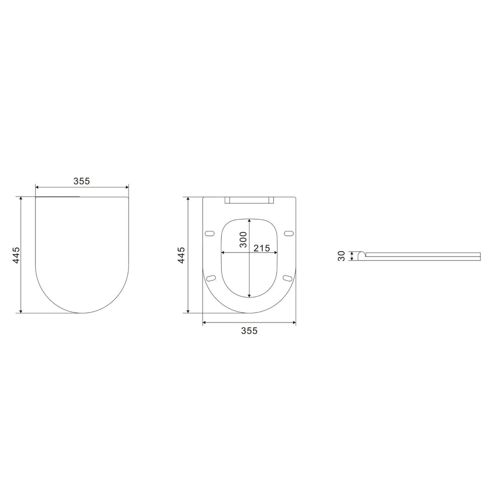 POSEIDON AVIS RIMLESS WALL HUNG PAN MATTE WHITE