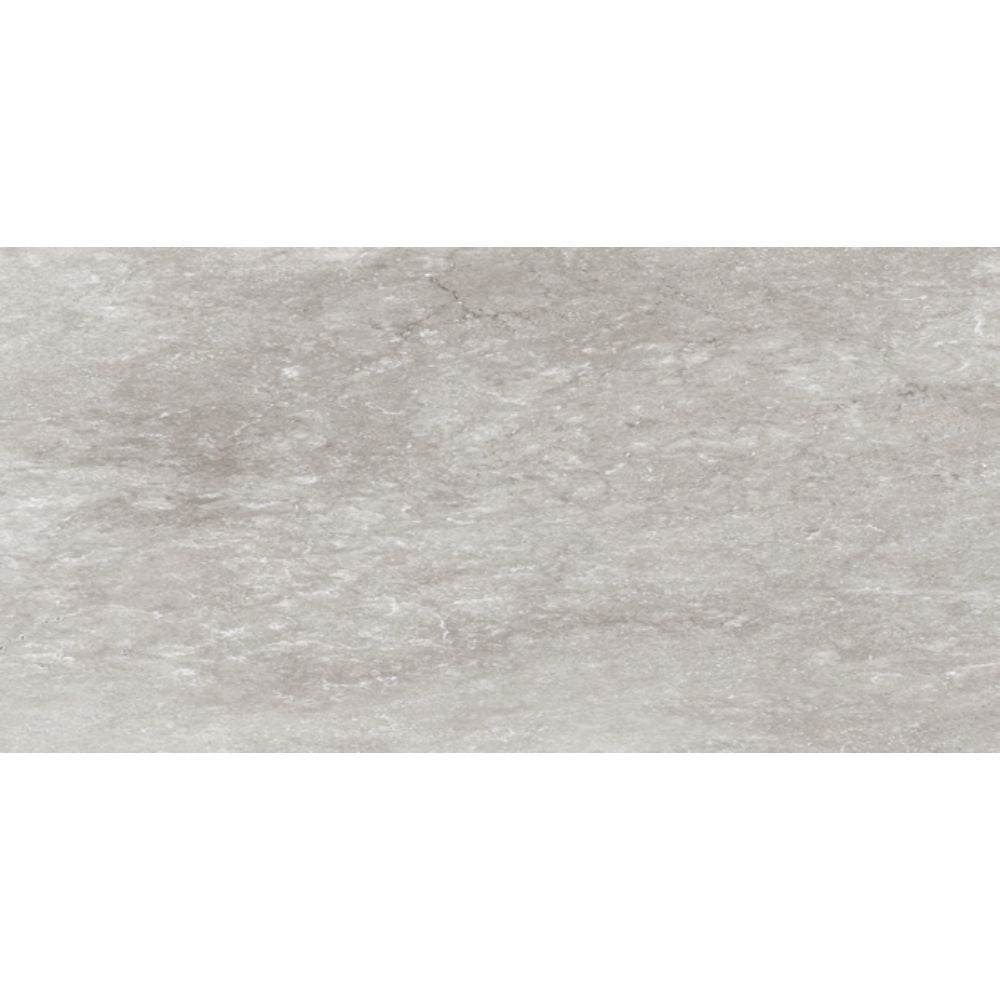 ELITE VENT LIGHT GREY MATTE 300X600MM RECTANGULAR TILE (PER BOX)