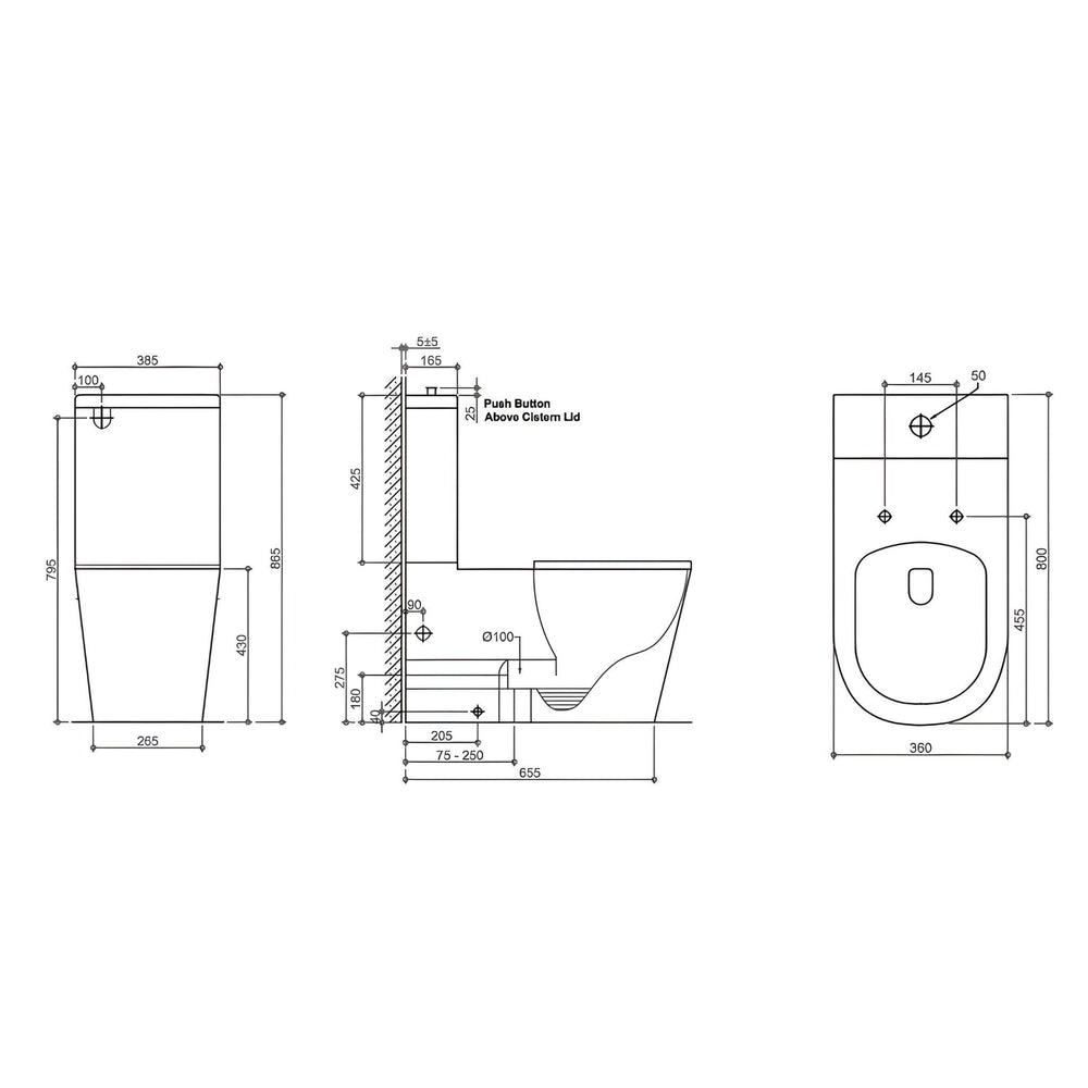 LUKKA HADDEN CARE RIMLESS WALL FACED TOILET SUITE WHITE
