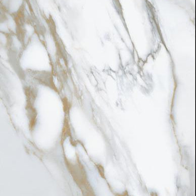 MUSES CALACATTA GOLD POLISHED TILE SAMPLE (1PC)