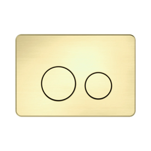 NERO IN WALL TOILET PUSH PLATE BRUSHED GOLD