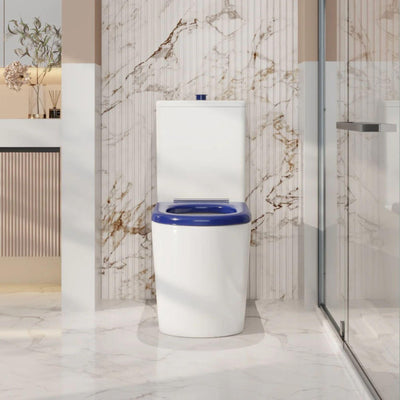MERCIO PANI CARE-ACCESSIBLE RIMLESS BACK TO WALL TOILET GLOSS WHITE