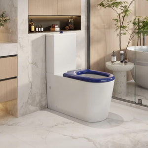 MERCIO PANI CARE-ACCESSIBLE RIMLESS BACK TO WALL TOILET GLOSS WHITE