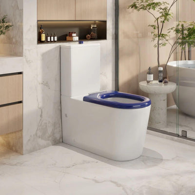 MERCIO PANI CARE-ACCESSIBLE RIMLESS BACK TO WALL TOILET GLOSS WHITE
