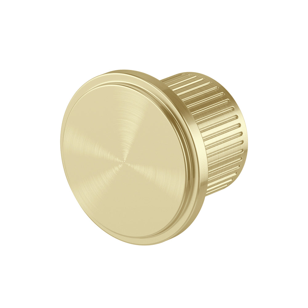 PHOENIX WILTERN ROBE HOOK BRUSHED GOLD