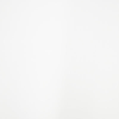 FIENZA PURE WHITE SOLID SURFACE STONE SAMPLE