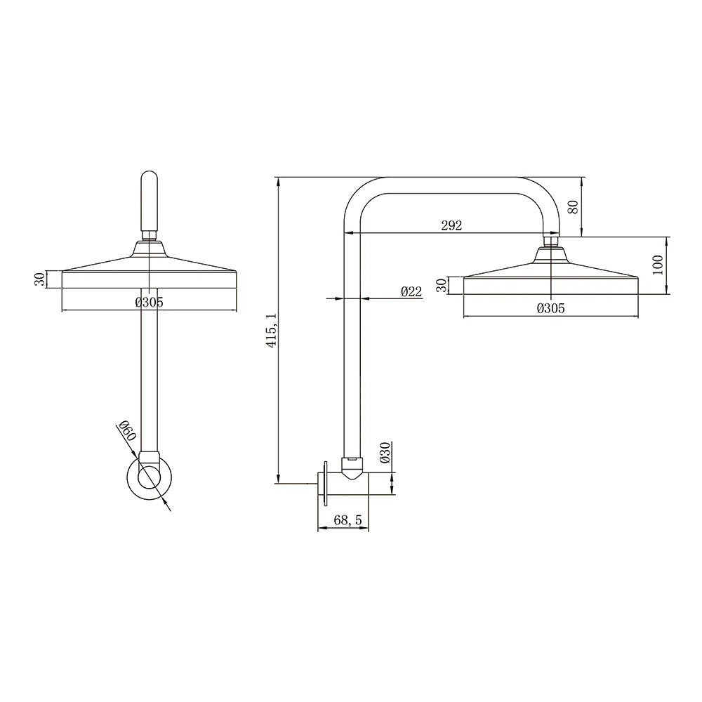 AMOZA GOOSENECK SHOWER ARM & HEAD 2 PACK 305MM BRUSHED GOLD