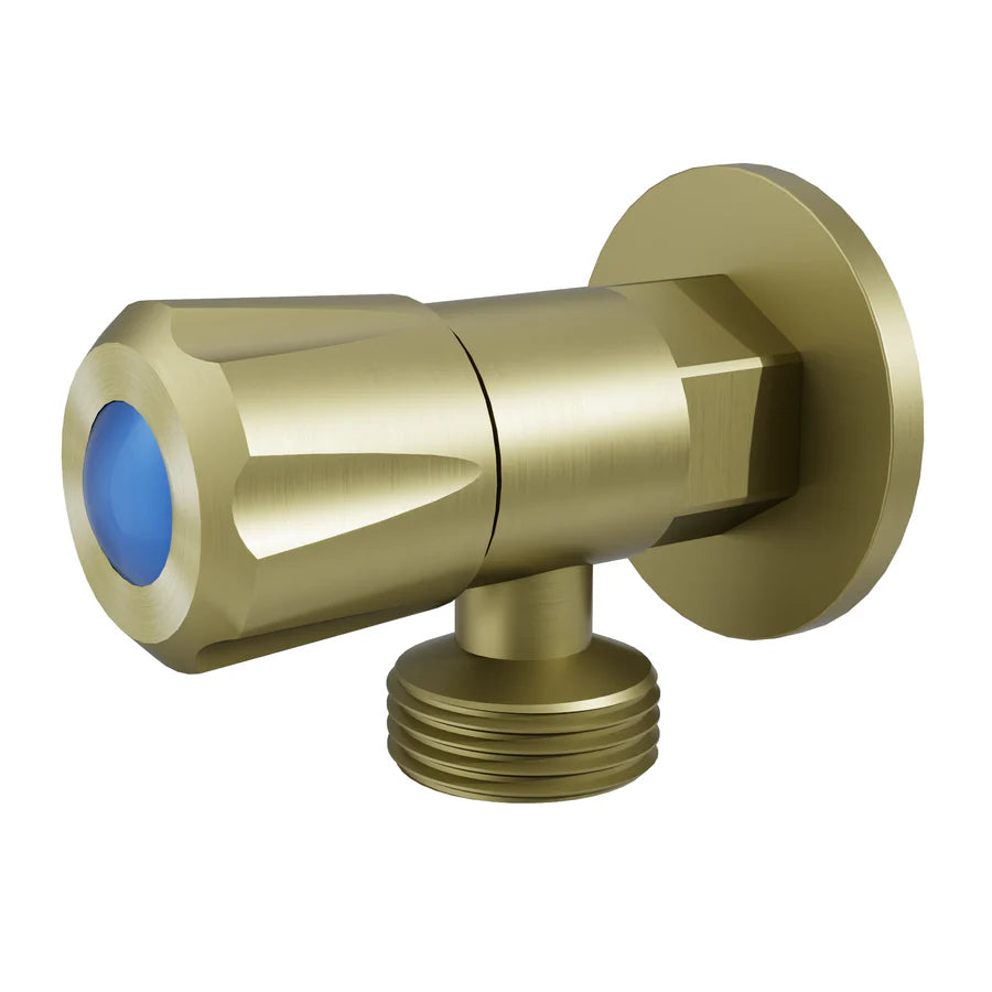 AMOZA LEAD FREE WASHING MACHINE TAP WITH COVER PLATE BRUSHED GOLD