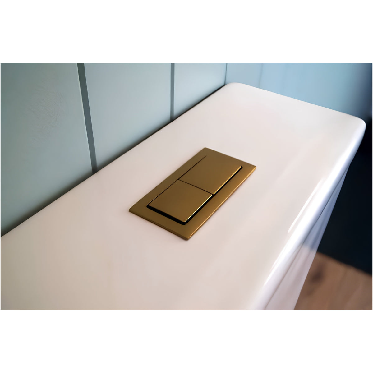 TURNER HASTINGS RECTANGLE FLUSH BUTTON BRUSHED BRASS