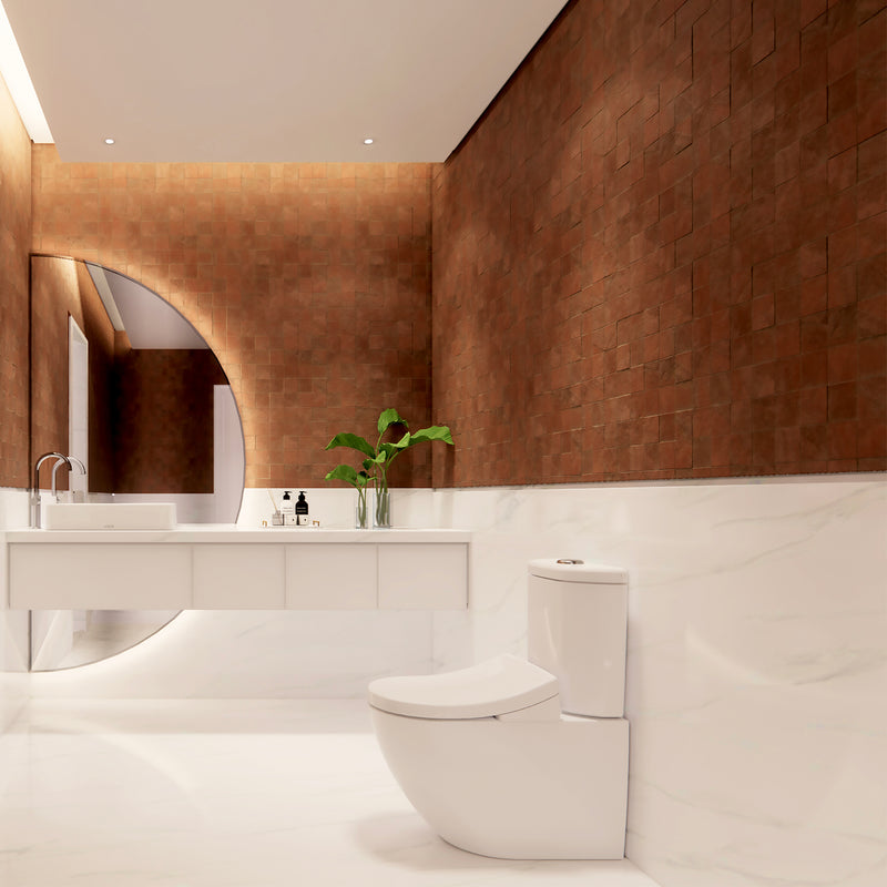 TOTO BASIC+ BTW TOILET AND WASHLET W/ REMOTE CONTROL AND AUTOLID PACKAGE (D SHAPE) GLOSS WHITE