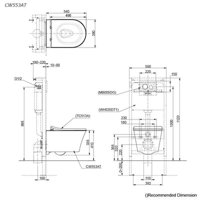 TOTO WALL HUNG RIMLESS TOILET D-SHAPE GLOSS WHITE