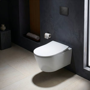 TOTO WALL HUNG TOILET (D-SHAPE) GLOSS WHITE