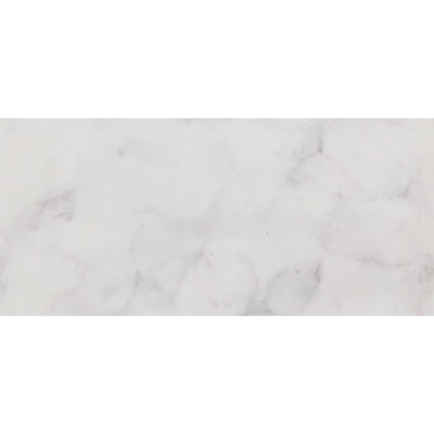 TIMBERLINE SILKSURFACE CARRARA DOUBLE BOWL VANITY TOP