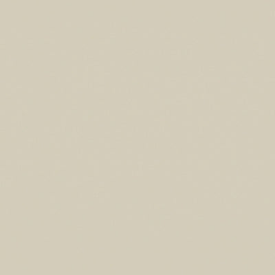 TIMBERLINE HOG BRISTLE® HALF SATIN CABINET SAMPLE