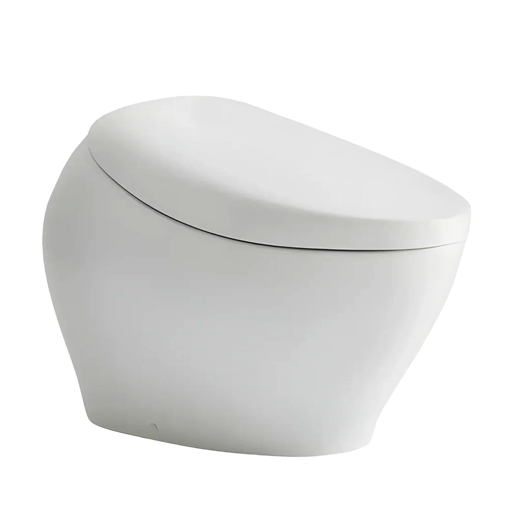 Difference Between Rimless and Box-Rim Toilets